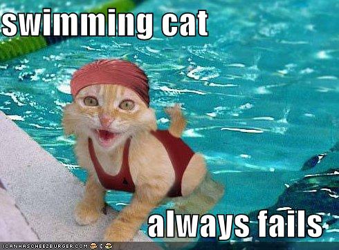 Swimming Cat Always Fails Cheezburger Funny Memes Funny Pictures