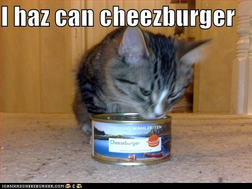 Classic Lolcat Lolcats Lol Cat Memes Funny Cats Funny Cat