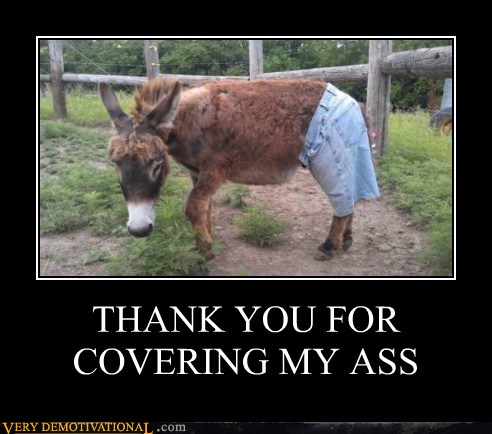 Thank You For Covering My Ass Very Demotivational Demotivational