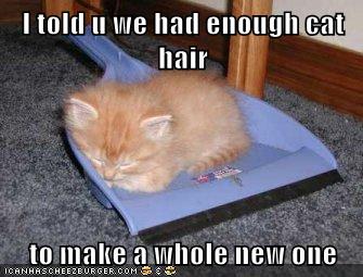 Now That S What I Call A Fur Ball Lolcats Lol Cat Memes Funny