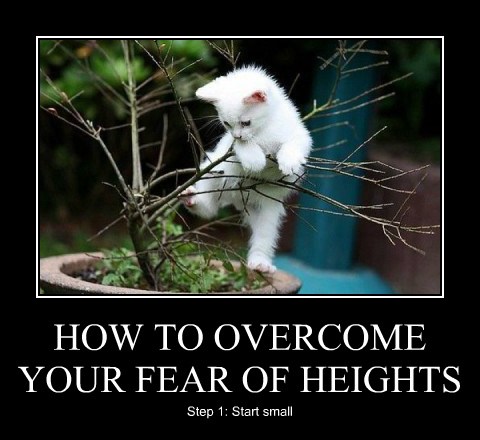 HOW TO OVERCOME YOUR FEAR OF HEIGHTS Lolcats Lol Cat Memes