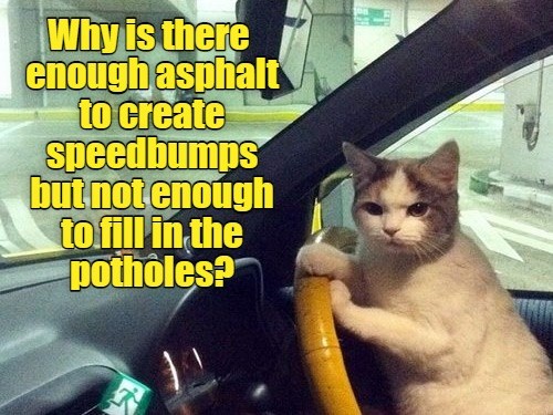 Inquiring Minds Want To Know Lolcats Lol Cat Memes Funny Cats