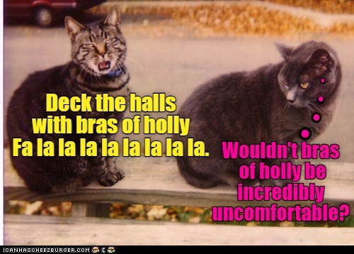 Inquiring Minds Want To Know Lolcats Lol Cat Memes Funny Cats