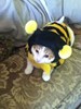 Avatar for spyderbytes