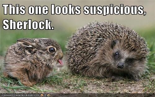 I Mean if I'm a Hedgehog, and You're an Otter, Who is He?