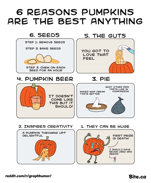 Why Pumpkins Are the Best