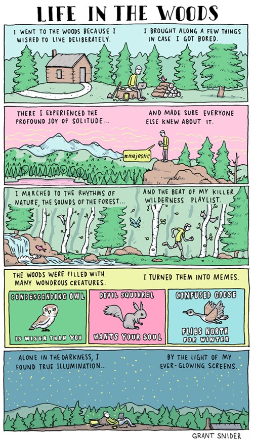 Webcomic of the Day: Life in the Woods Webcomic of the Day: Life in the Woods
