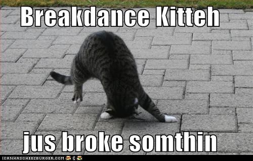 Classic LOLcat