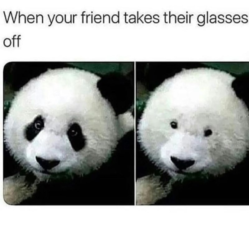 24 Clever Animal Memes For Office Workers Wishing They Could Do 