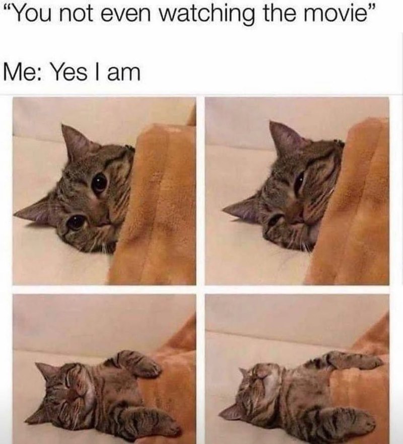 25 Funny Animal Memes To Keep Your Mind Off Monday Animal Comedy 
