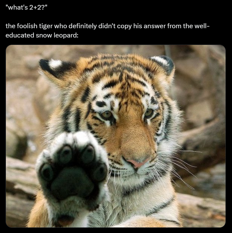 25 Tiger Memes That Are Totally Fluffy Friend Shaped Animal Comedy 