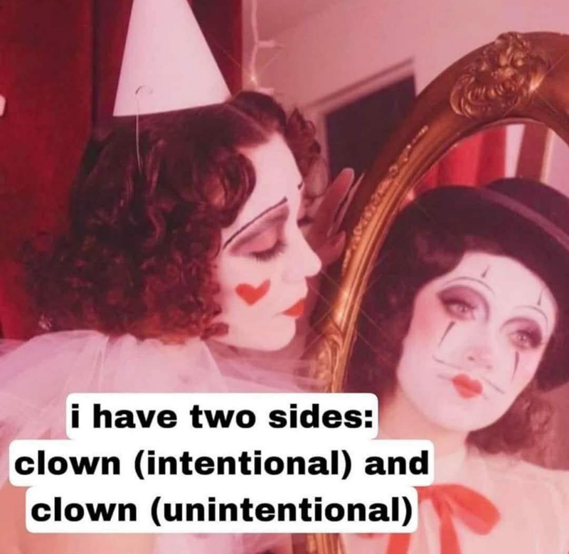 i have two sides: clown (intentional) and clown (unintentional)