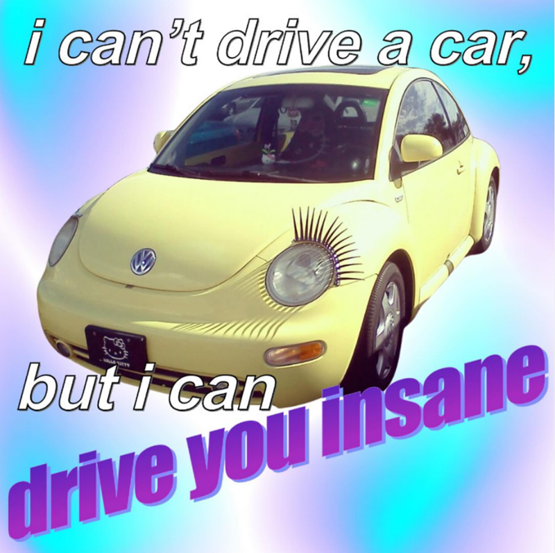 i can't drive a car, but i can drive you insane