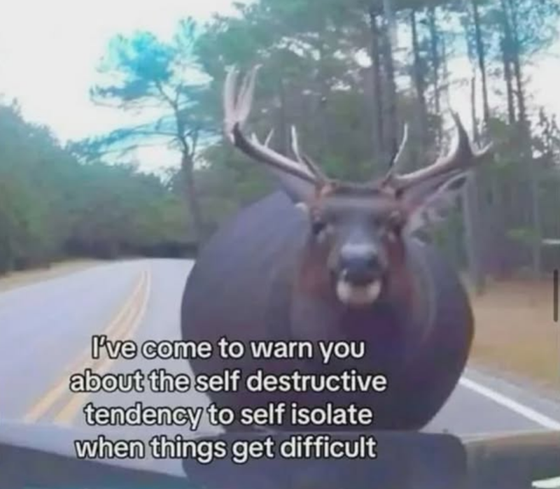 I've come to warn you about the self destructive tendency to self isolate when things get difficult