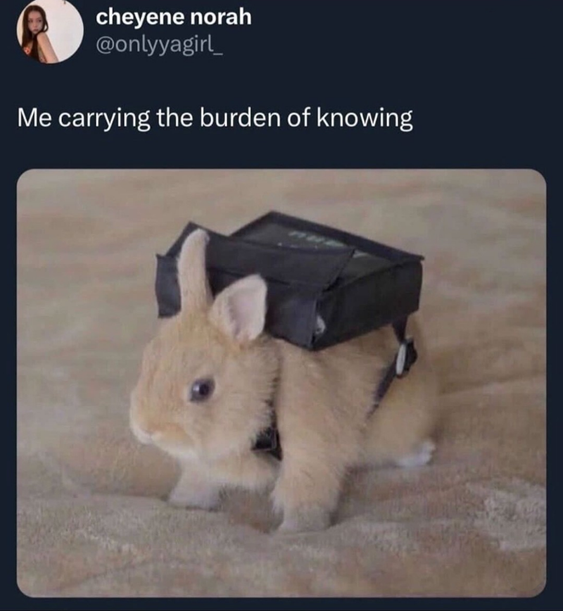 cheyene norah @onlyyagirl Me carrying the burden of knowing