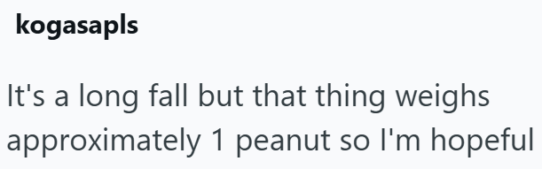 kogasapls It's a long fall but that thing weighs approximately 1 peanut so I'm hopeful