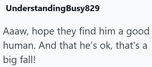 UnderstandingBusy829 Aaaw, hope they find him a good human. And that he's ok, that's a big fall!