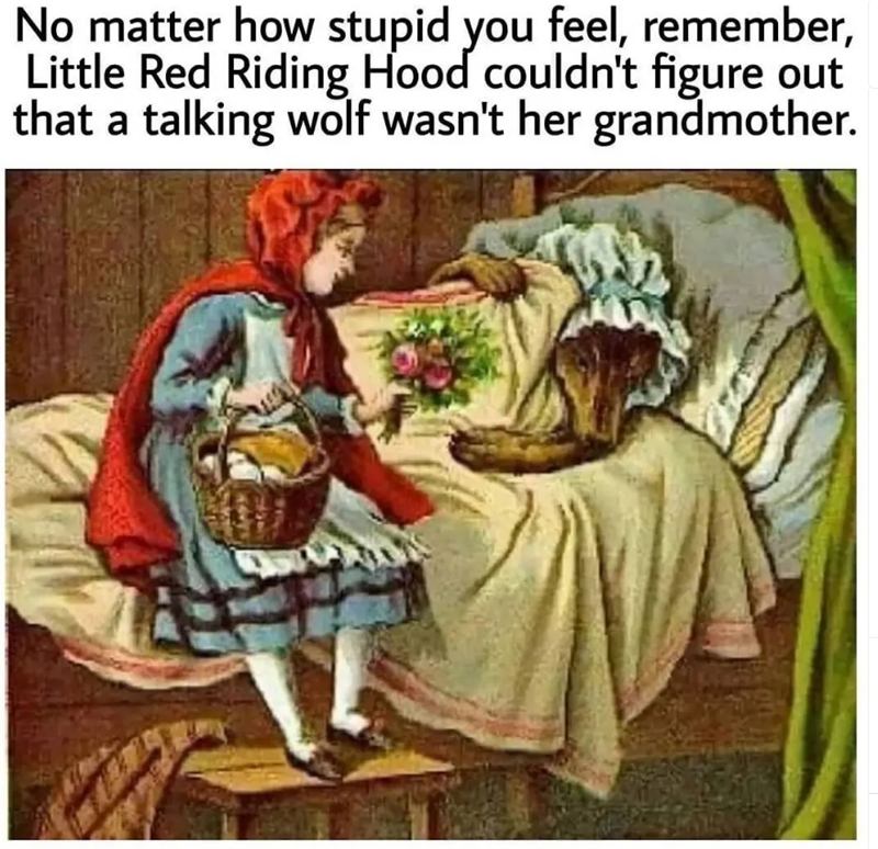 No matter how stupid you feel, remember, Little Red Riding Hood couldn't figure out that a talking wolf wasn't her grandmother.