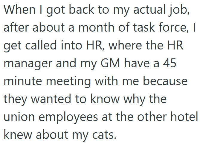When I got back to my actual job, after about a month of task force, I get called into HR, where the HR manager and my GM have a 45 minute meeting with me because they wanted to know why the union employees at the other hotel knew about my cats.