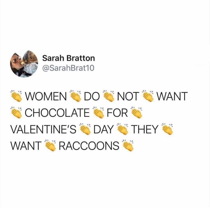 Sarah Bratton @SarahBrat10 WOMEN DO NOT WANT CHOCOLATE FOR VALENTINE'S DAY THEY WANT RACCOONS