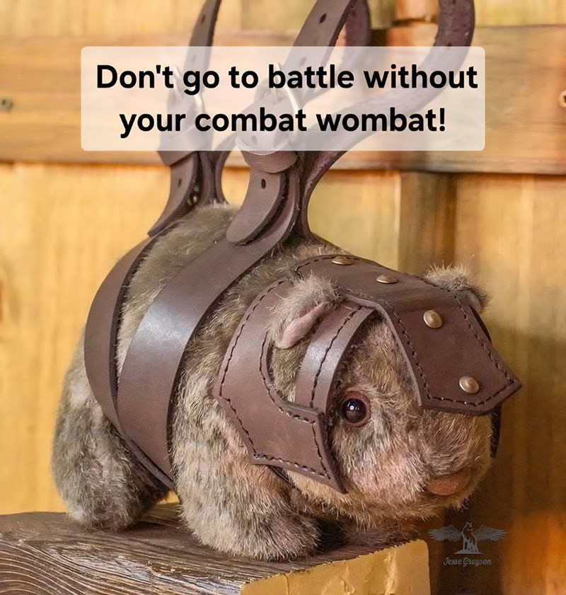 Don't go to battle without your combat wombat! Jesse Greyson