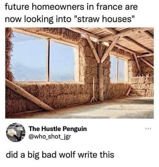 future homeowners in france are now looking into "straw houses" The Hustle Penguin @who_shot_jgr did a big bad wolf write this