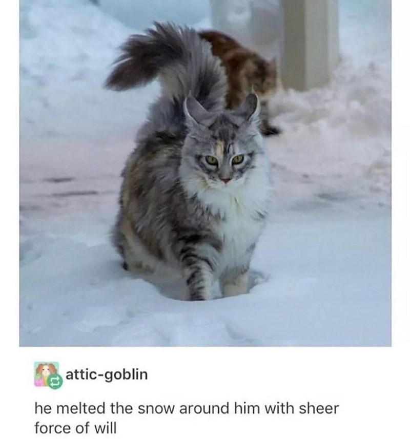 attic-goblin he melted the snow around him with sheer force of will