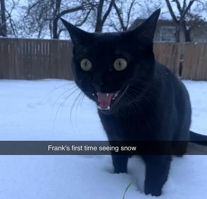 Frank's first time seeing snow