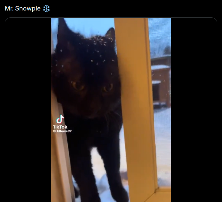 Mr. Snowpie ل TikTok @bllowe97