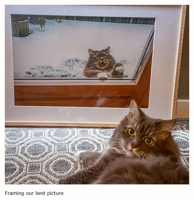 Framing our best picture