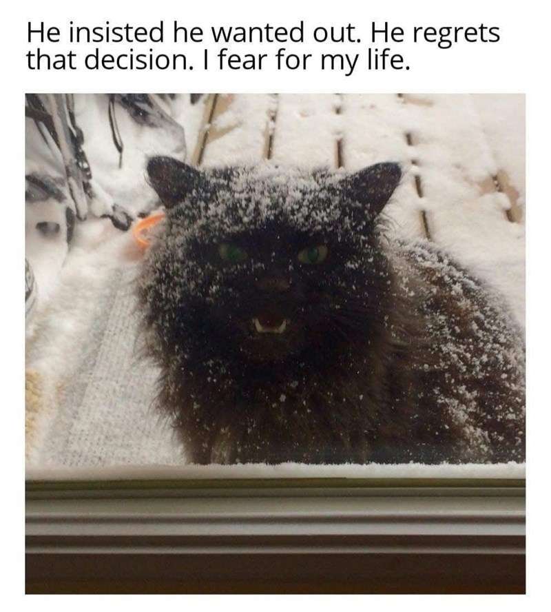 He insisted he wanted out. He regrets that decision. I fear for my life.