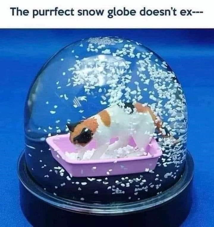 The purrfect snow globe doesn't ex---