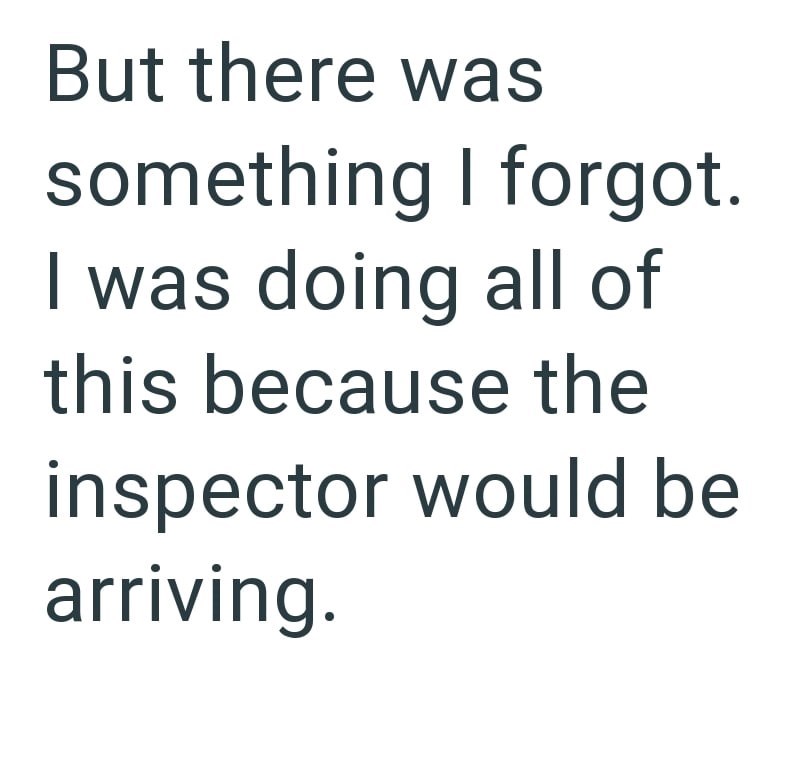 But there was something I forgot. I was doing all of this because the inspector would be arriving.