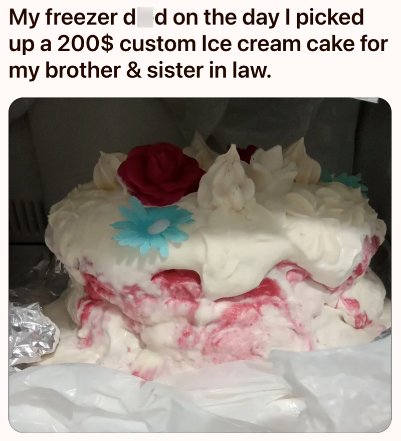 My freezer died on the day I picked up a 200$ custom Ice cream cake for my brother & sister in law.