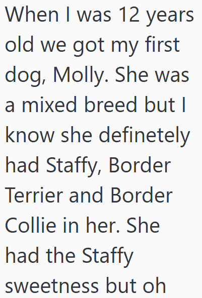 When I was 12 years old we got my first dog, Molly. She was a mixed breed but I know she definetely had Staffy, Border Terrier and Border Collie in her. She had the Staffy sweetness but oh