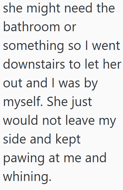 she might need the bathroom or something so I went downstairs to let her out and I was by myself. She just would not leave my side and kept pawing at me and whining.