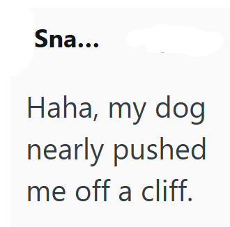 Sna... Haha, my dog nearly pushed me off a cliff.