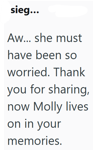 sieg... Aw... she must have been so worried. Thank you for sharing, now Molly lives on in your memories.
