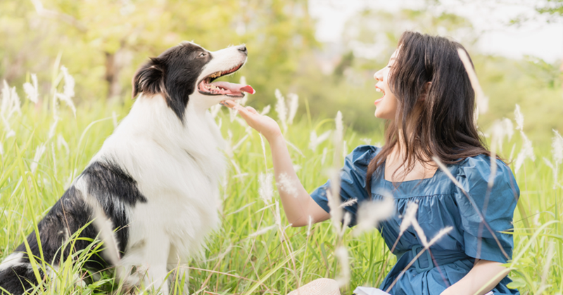 Cheezburger Image 10605640960