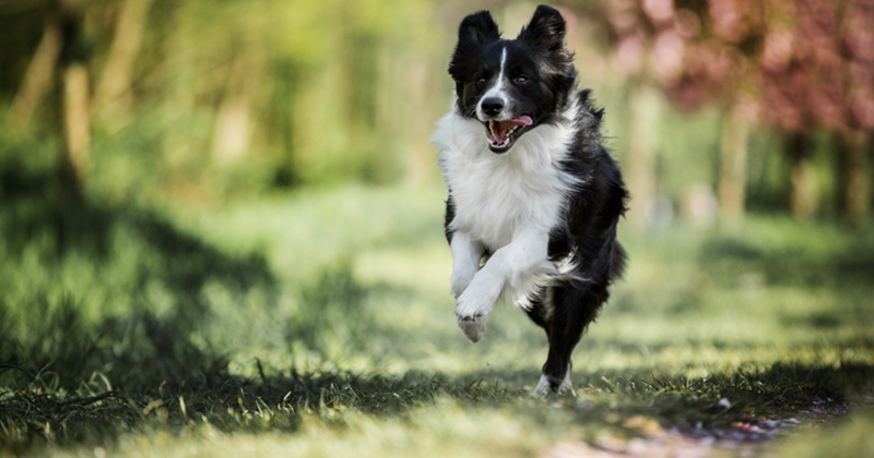 Cheezburger Image 10605641216