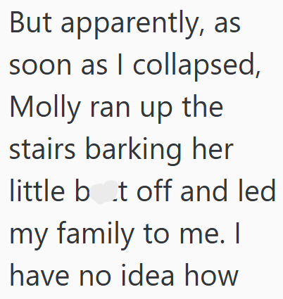 But apparently, as soon as I collapsed, Molly ran up the stairs barking her little bot off and led my family to me. I have no idea how