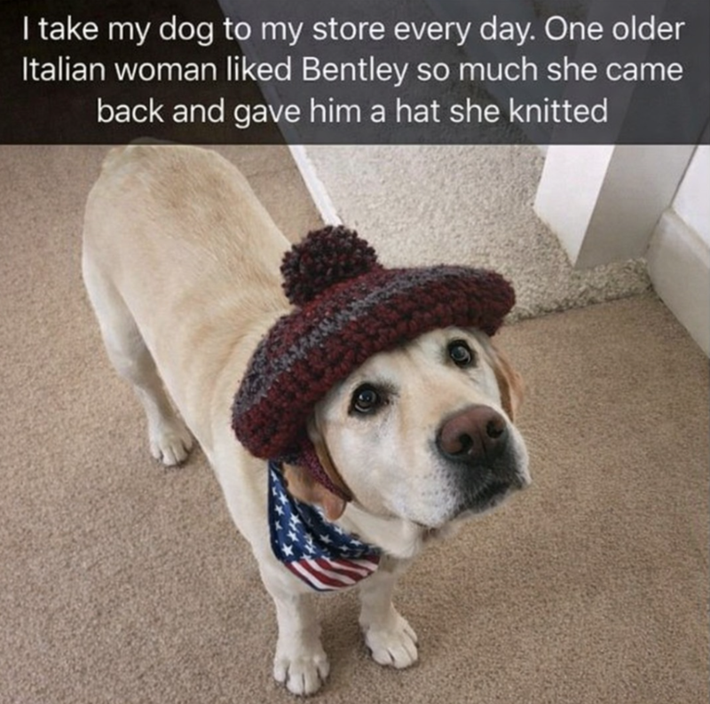 I take my dog to my store every day. One older Italian woman liked Bentley so much she came back and gave him a hat she knitted