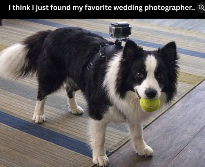 I think I just found my favorite wedding photographer.. Q