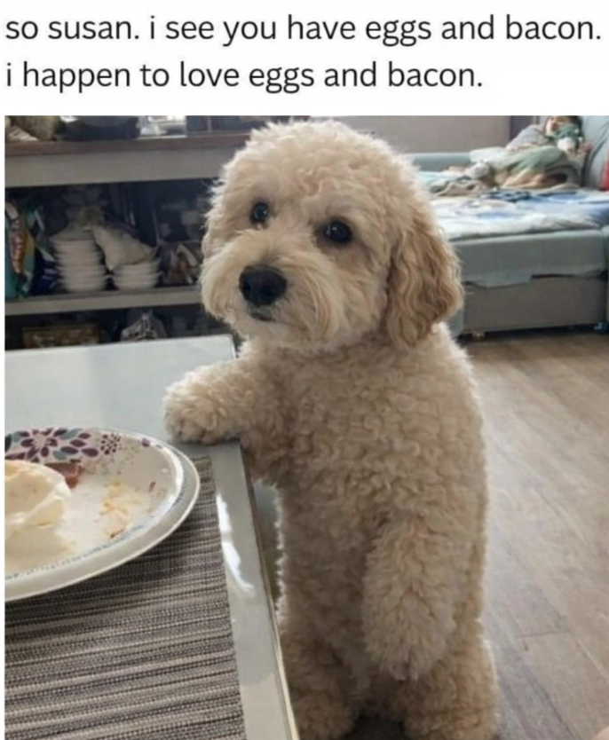 so susan. i see you have eggs and bacon. i happen to love eggs and bacon.