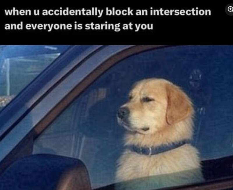 + when u accidentally block an intersection and everyone is staring at you