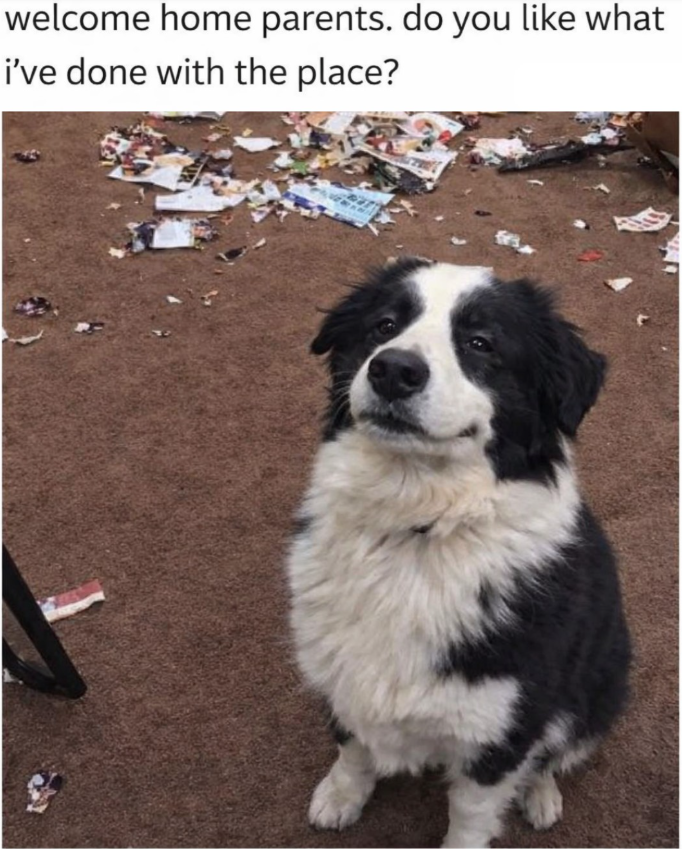 welcome home parents. do you like what i've done with the place?