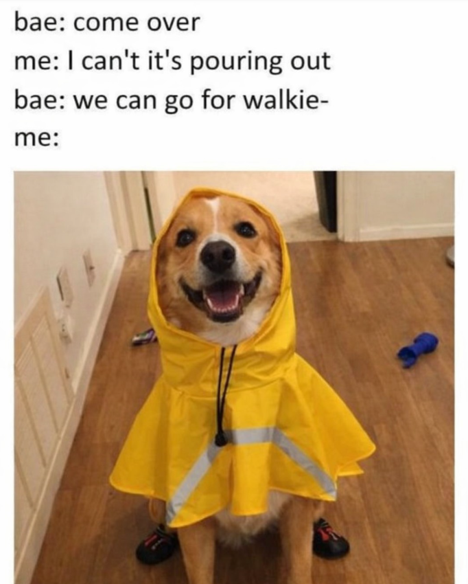 bae: come over me: I can't it's pouring out bae: we can go for walkie- me: