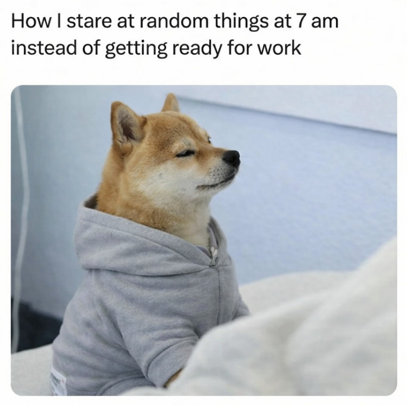 How I stare at random things at 7 am instead of getting ready for work