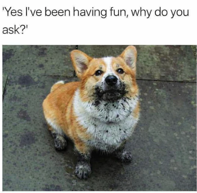 'Yes I've been having fun, why do you ask?'"