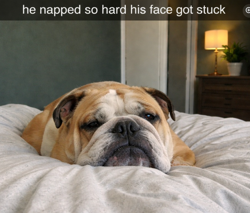 he napped so hard his face got stuck
